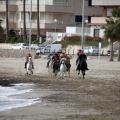 Carrera de caballos y burros