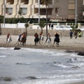 Carrera de caballos y burros