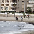 Carrera de caballos y burros