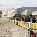 Carrera de caballos y burros