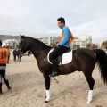 Carrera de caballos y burros