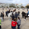 Carrera de caballos y burros