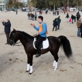 Carrera de caballos y burros