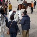 Carrera de caballos y burros