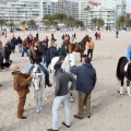 Carrera de caballos y burros