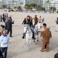 Carrera de caballos y burros