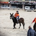 Carrera de caballos y burros