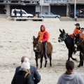 Carrera de caballos y burros