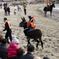 Carrera de caballos y burros