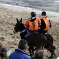 Carrera de caballos y burros