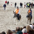 Carrera de caballos y burros