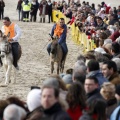 Carrera de caballos y burros