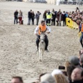 Carrera de caballos y burros