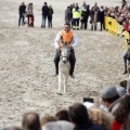 Carrera de caballos y burros