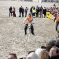 Carrera de caballos y burros