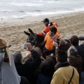 Carrera de caballos y burros