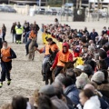 Carrera de caballos y burros