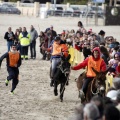 Carrera de caballos y burros