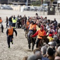 Carrera de caballos y burros