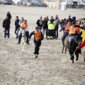 Carrera de caballos y burros