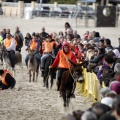 Carrera de caballos y burros