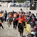 Carrera de caballos y burros