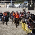 Carrera de caballos y burros