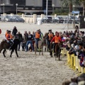 Carrera de caballos y burros