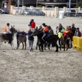 Carrera de caballos y burros