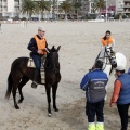 Carrera de caballos y burros