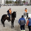 Carrera de caballos y burros