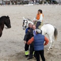 Carrera de caballos y burros