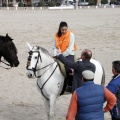 Carrera de caballos y burros