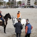 Carrera de caballos y burros