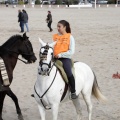 Carrera de caballos y burros