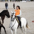 Carrera de caballos y burros