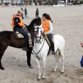 Carrera de caballos y burros