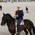 Carrera de caballos y burros