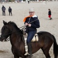 Carrera de caballos y burros