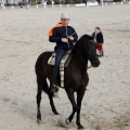 Carrera de caballos y burros