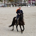 Carrera de caballos y burros