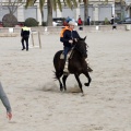 Carrera de caballos y burros