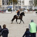 Carrera de caballos y burros