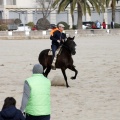 Carrera de caballos y burros