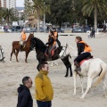 Carrera de caballos y burros