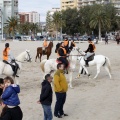 Carrera de caballos y burros