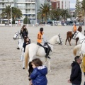 Carrera de caballos y burros