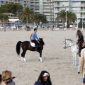 Carrera de caballos y burros