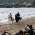 Carrera de caballos y burros