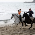 Carrera de caballos y burros